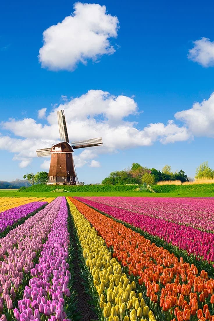 Why visit The Netherlands