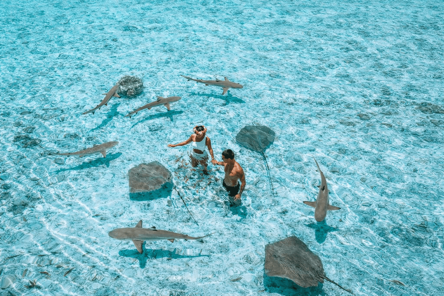 BAA ATOLL — NATURE’S MARINE SANCTUARY