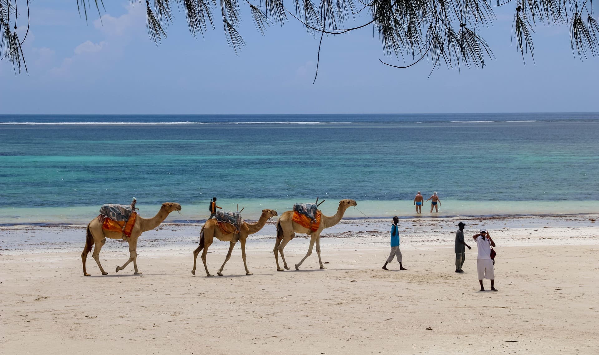 DIANI — KENYA’S SOUTH COAST DREAM