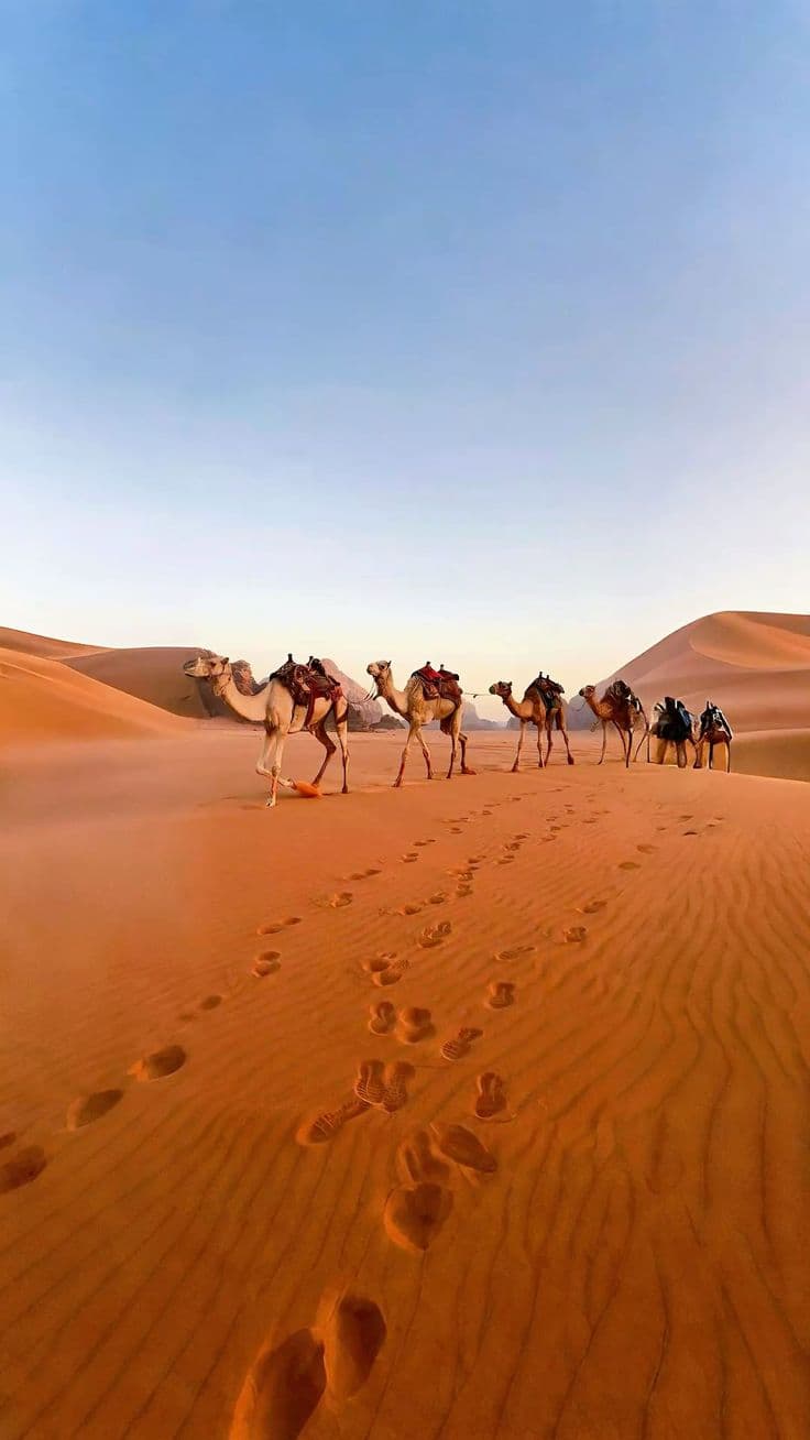 Why visit Qatar