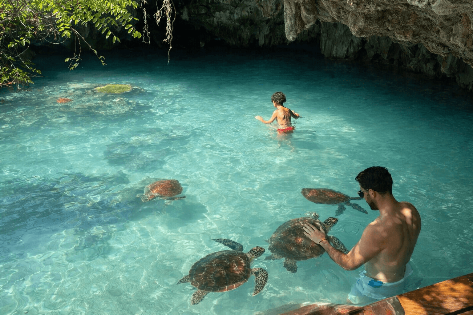 SWIM WITH TURTLES
