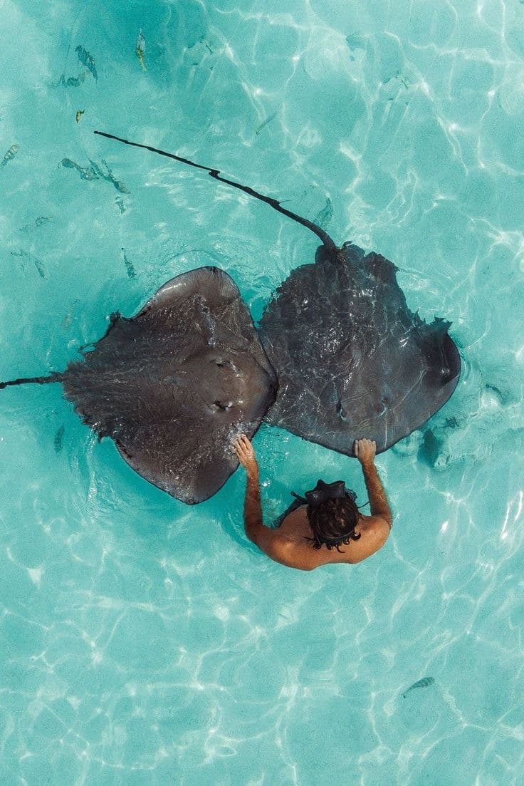 Why visit Maldives