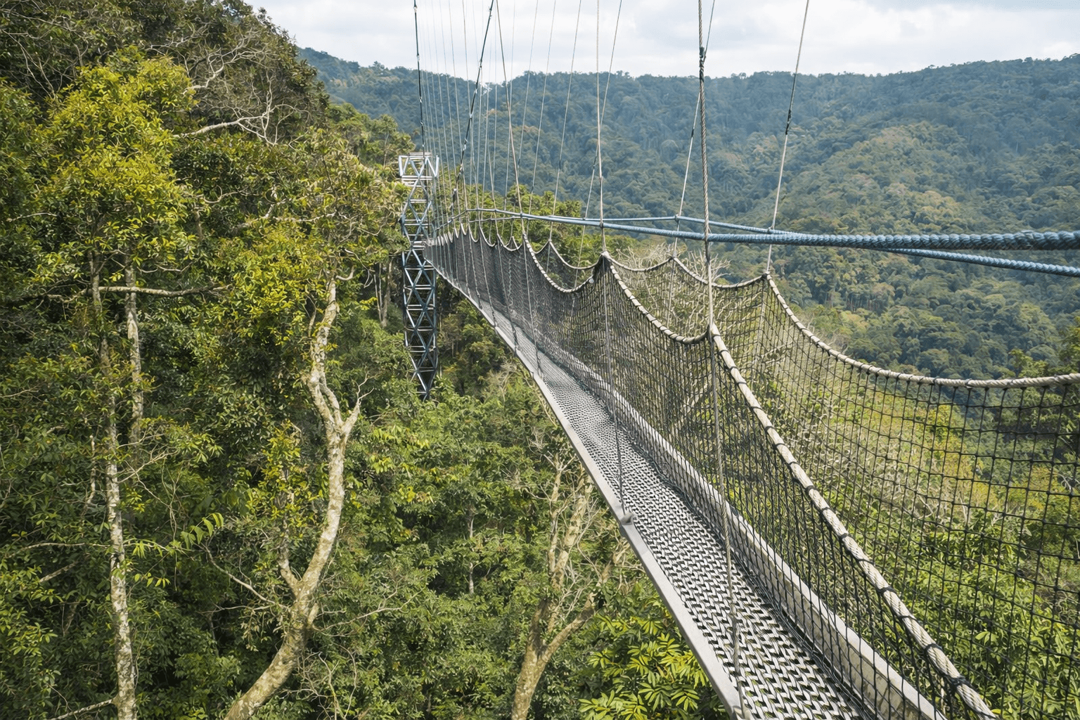 NYUNGWE NATIONAL PARK