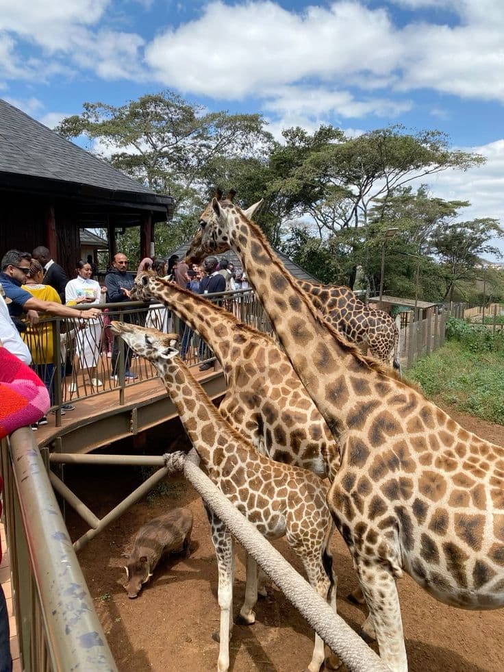 NAIROBI — THE GREEN CITY IN THE SUN