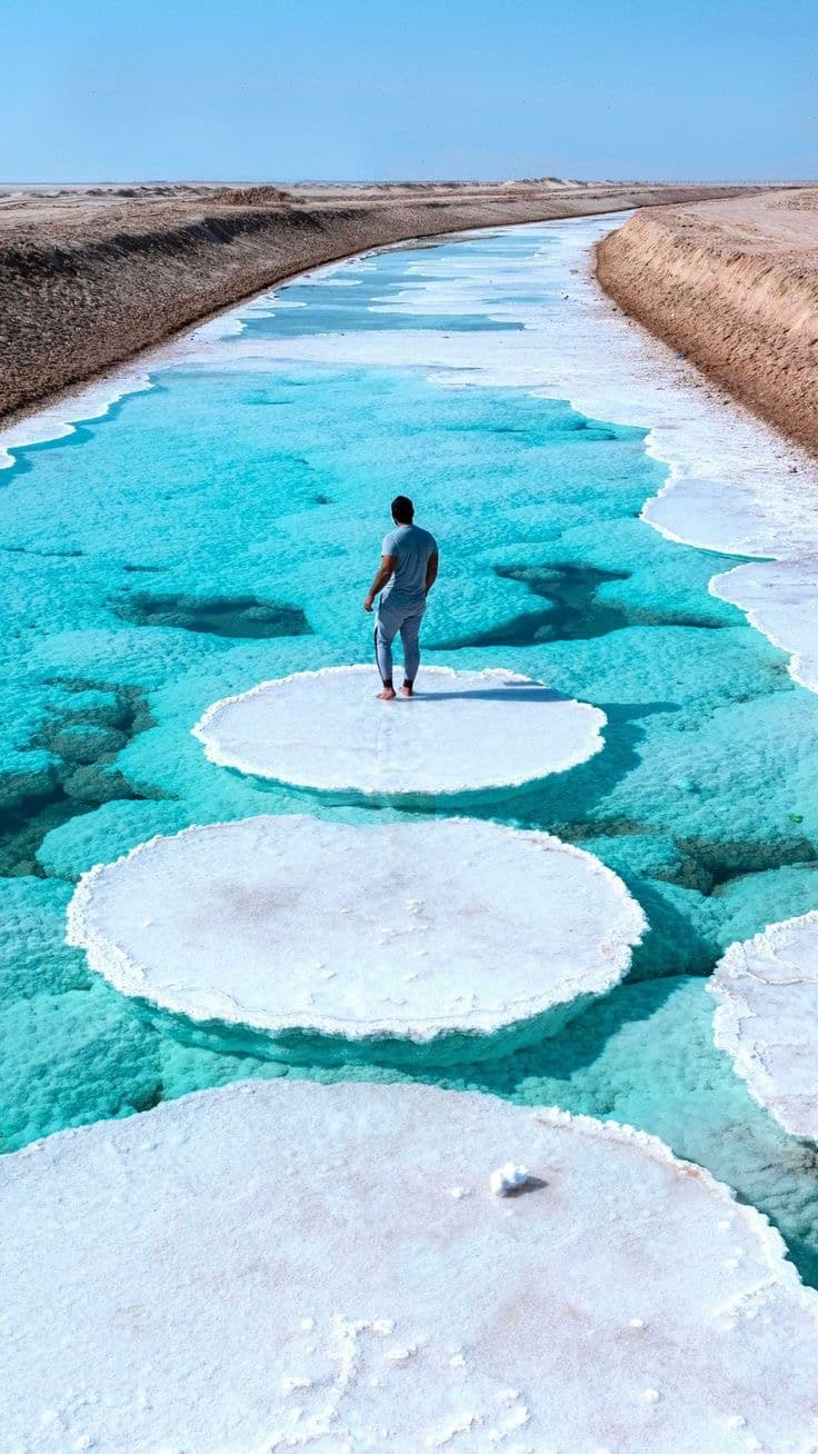 Why visit United Arab Emirates (UAE)