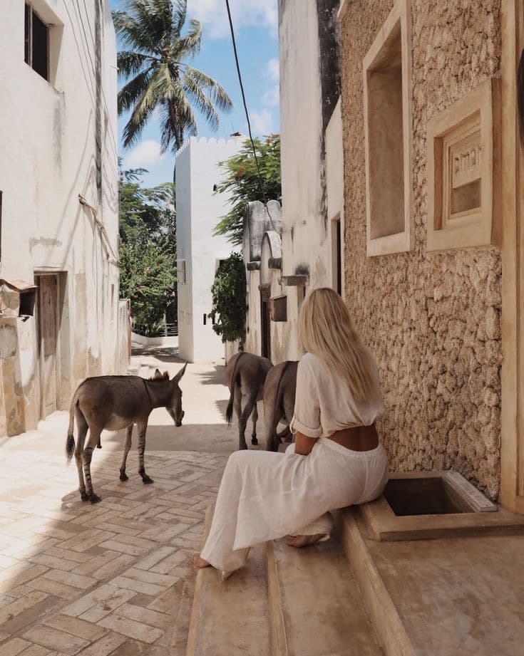 LAMU — TIMELESS ISLAND TRANQUILITY